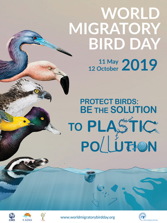 World Migratory Bird Day Poster
