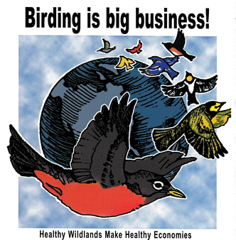 Birding is Big Business