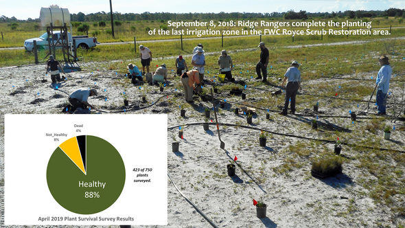 Restoration Planting Survey Results