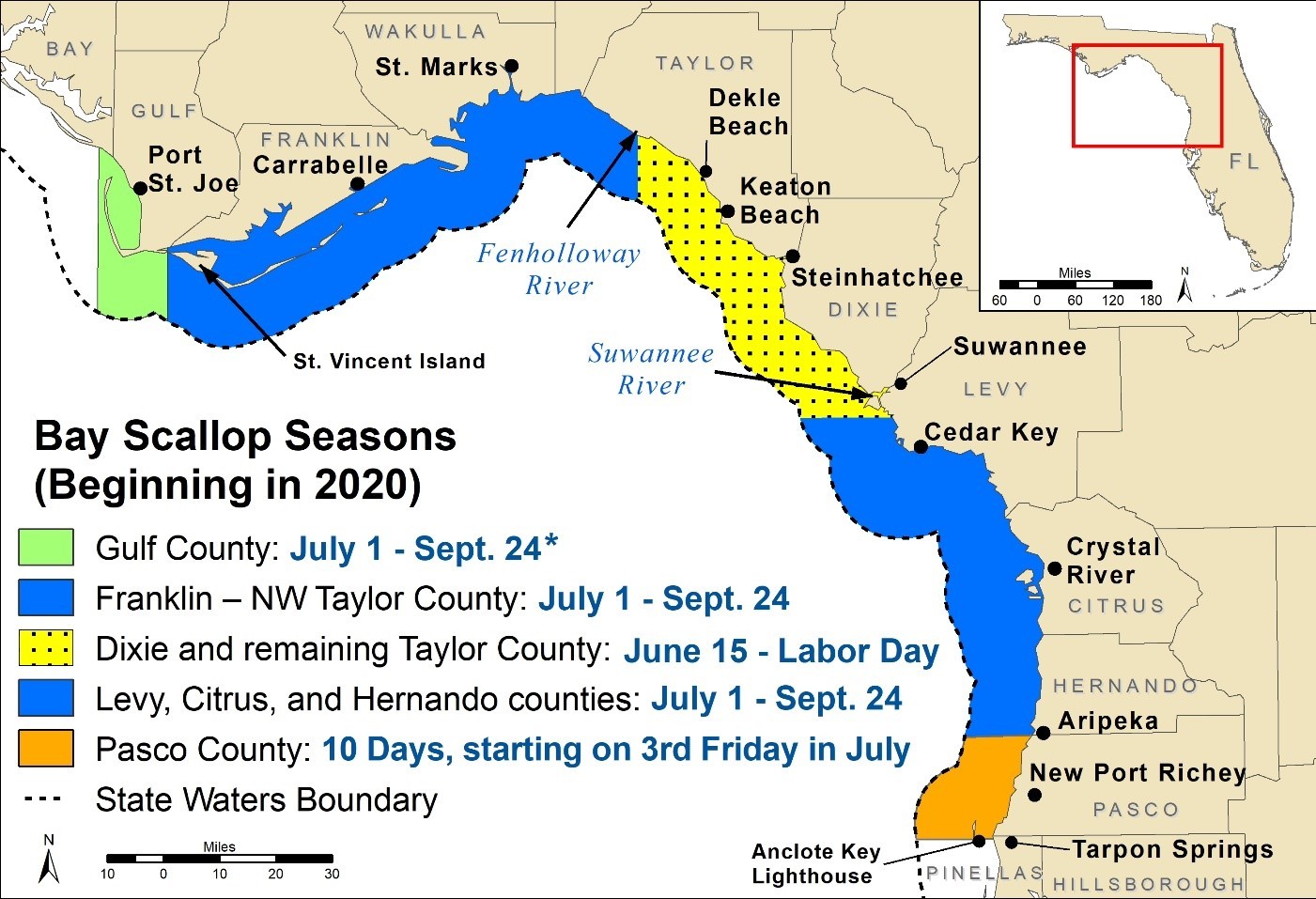 FWC sets scallop seasons for 2020 and beyond; allows transit through