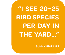 “I see 20 to 25 bird species per day in the yard..." - Sunny Phillips