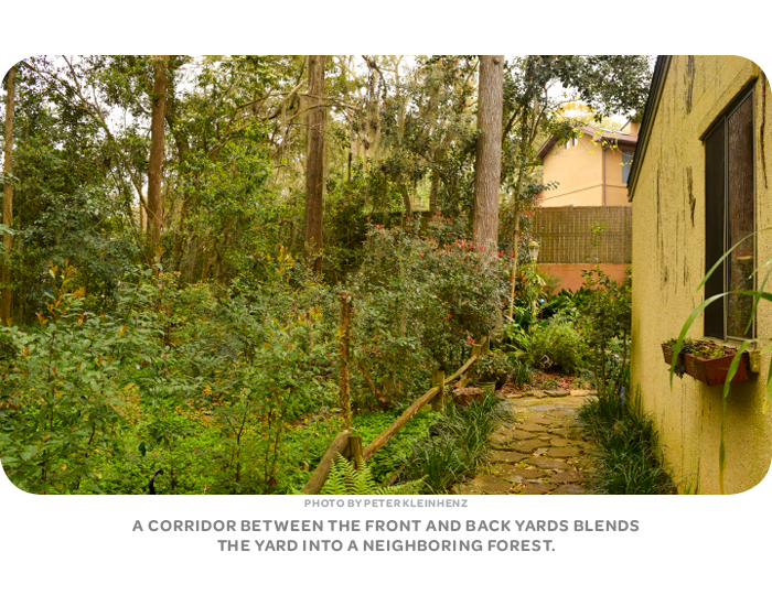 A corridor between the front and back yards blends the yard into a neighboring forest.
