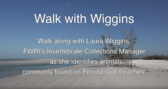 walk_w_wiggins