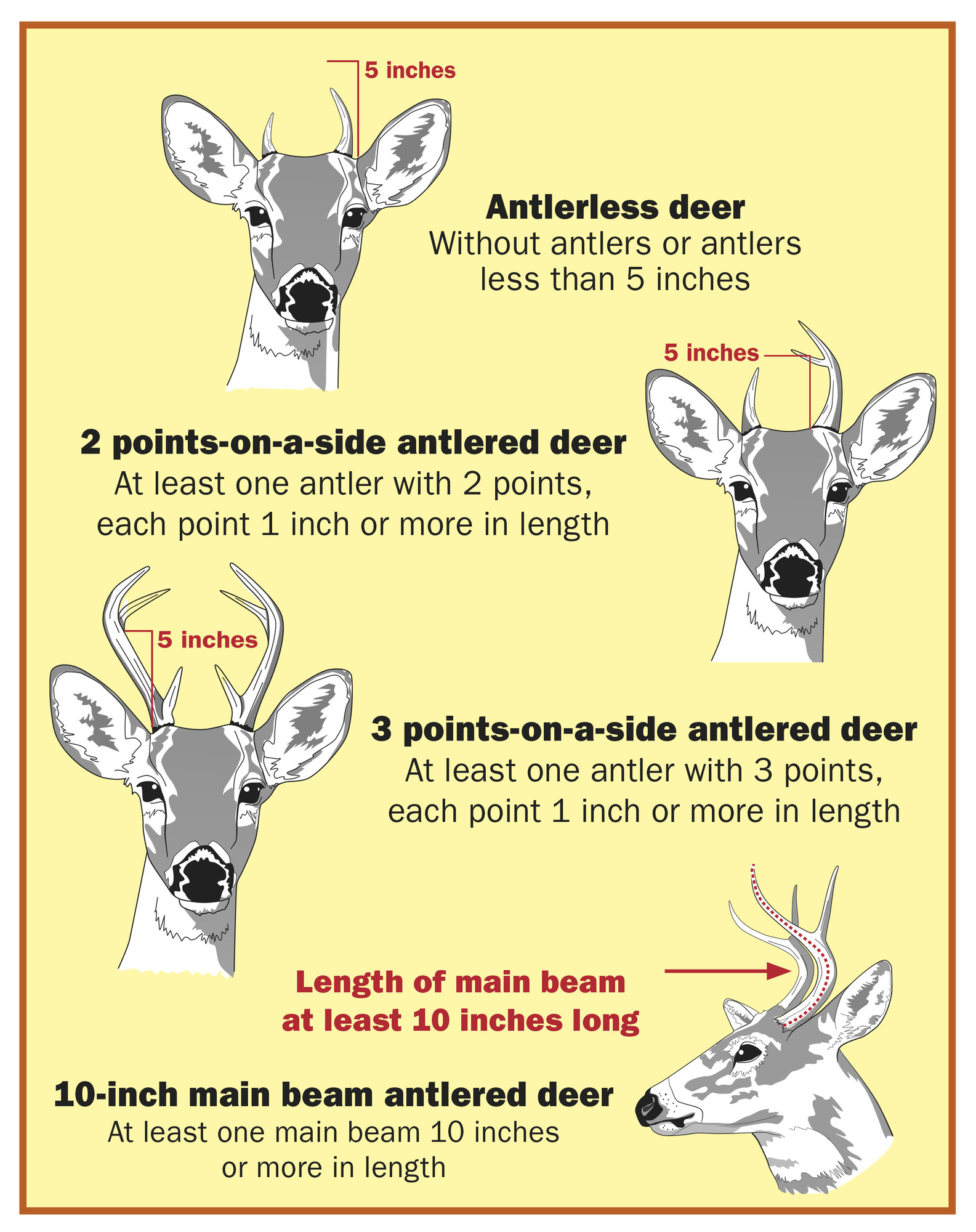 Antler Examples