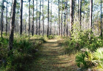 Blackwater River State Forest Chain of Lakes Trail