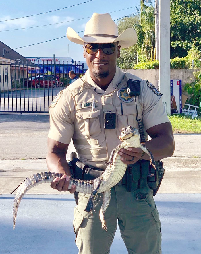 hart gator relocation