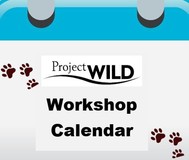 WILD Workshop Calendar Icon