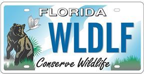 Conserve Florida car tag