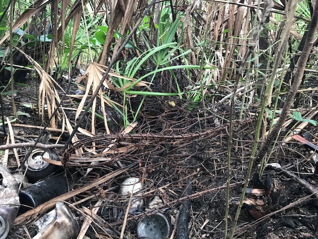 A wire spring mattress entangled in vegetation