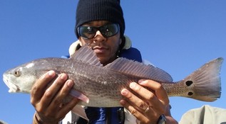 red drum