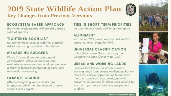 Key Changes Graphic for 2019 Action Plan