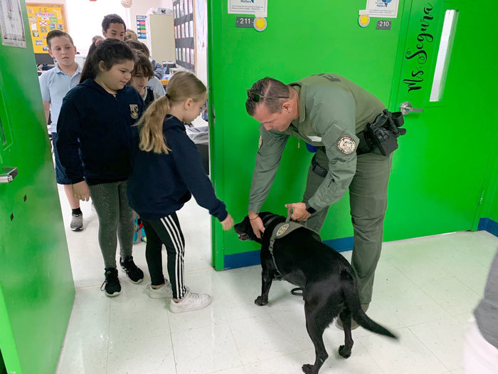 k9 greet
