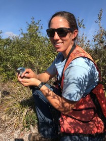 Hannah assisting with Florida Scrub-Jay translocation efforts. Photo by Karl Miller.