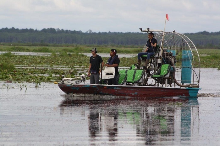 alligator harvest