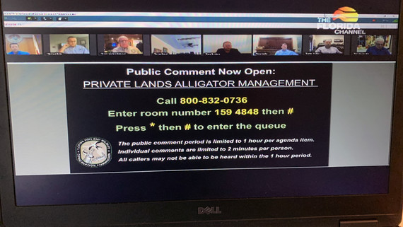 online Commission meeting