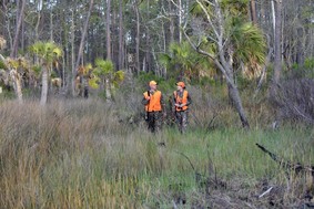Hunters in orange