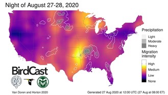 BirdCast Maps provide information on upcoming migration hotspots.