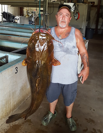 Lavon Nowling Flathead Catfish State Record