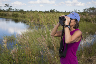 Woman birding by the water's edge