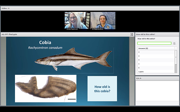 screenshot of a virtual school presentation