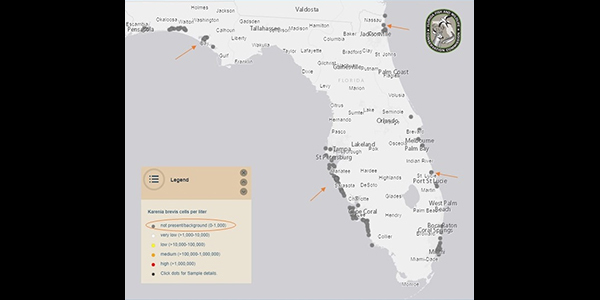 screenshow of red tide sample map