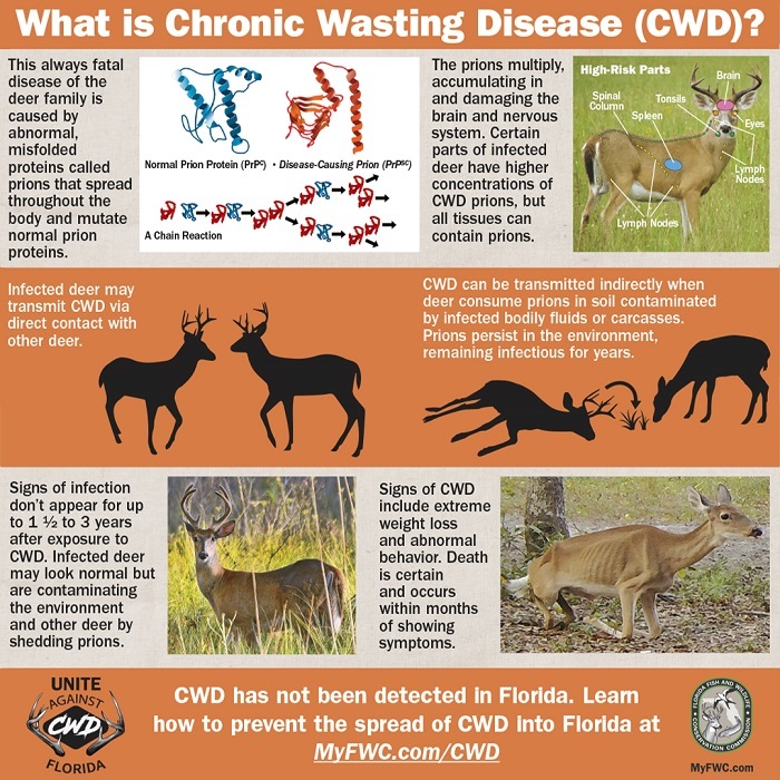 cwd infographic