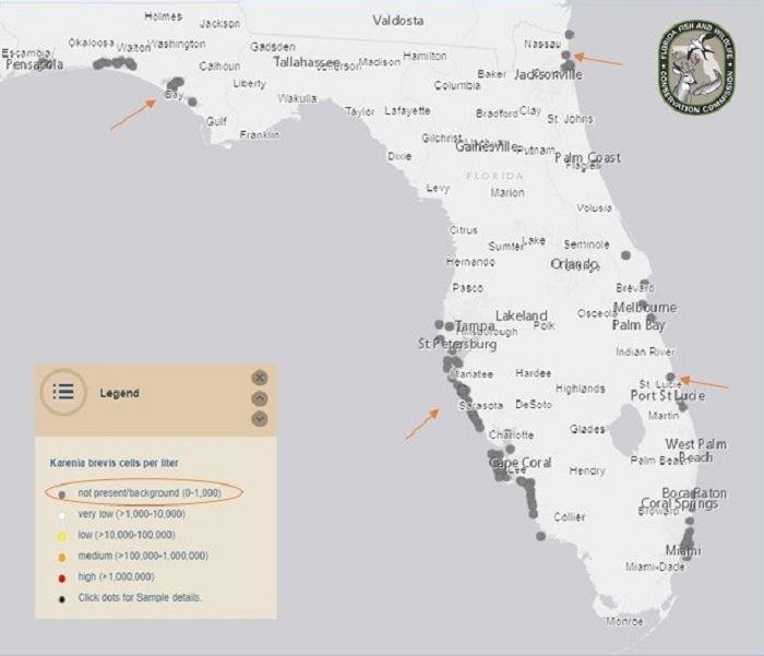 red tide map