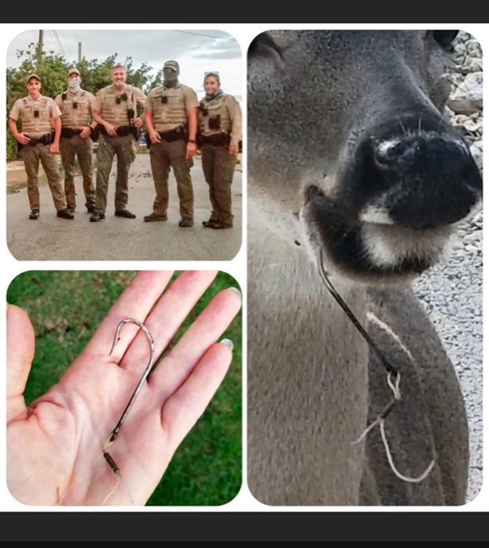 key deer rescue