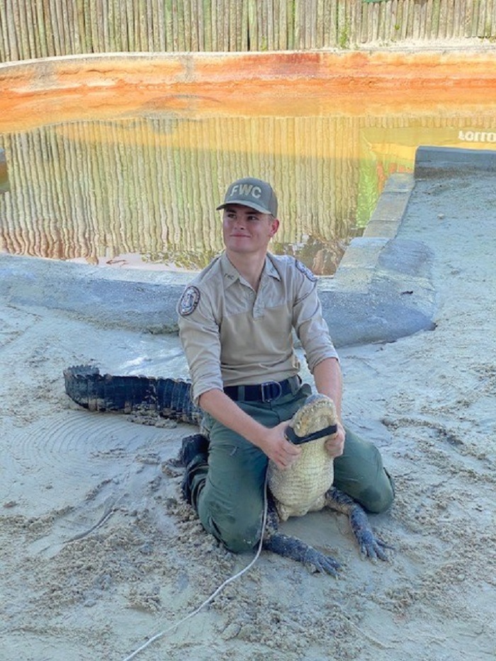 alligator handling