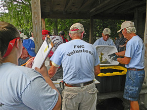 Highlands Lakes Volunteers collecting fish data