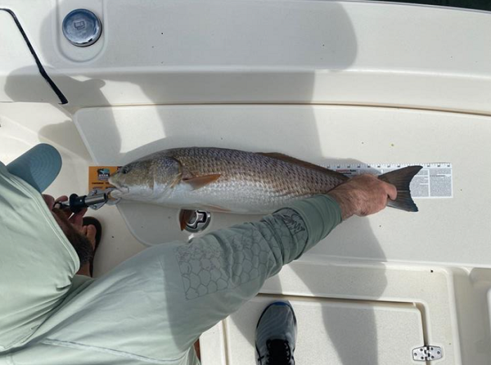 JD Malone with red drum