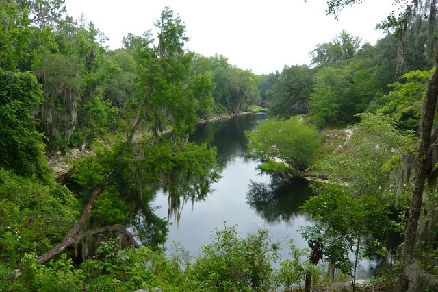 View from the scenic river trail at Spirit of the Suwannee Music Park