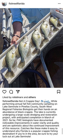 FishReelFlorida Instagram