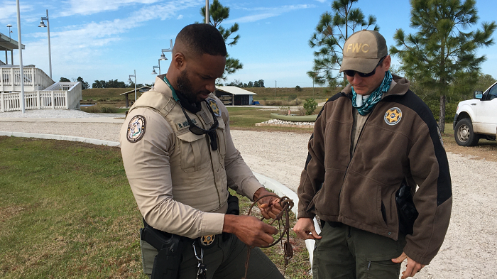 conflict wildlife training