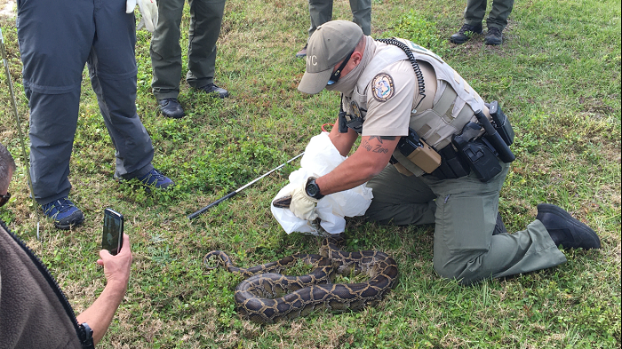 conflict wildlife training