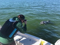 Emily taking a picture of a bottlenose dolphin for photo identification research. FWC photo