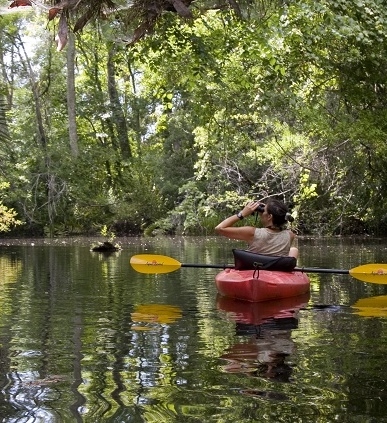 A woman looks through binoculars from her kayak on a shady river