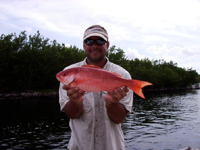 New species added to FWC Catch a Florida Memory - Saltwater Reel Big Fish  Program