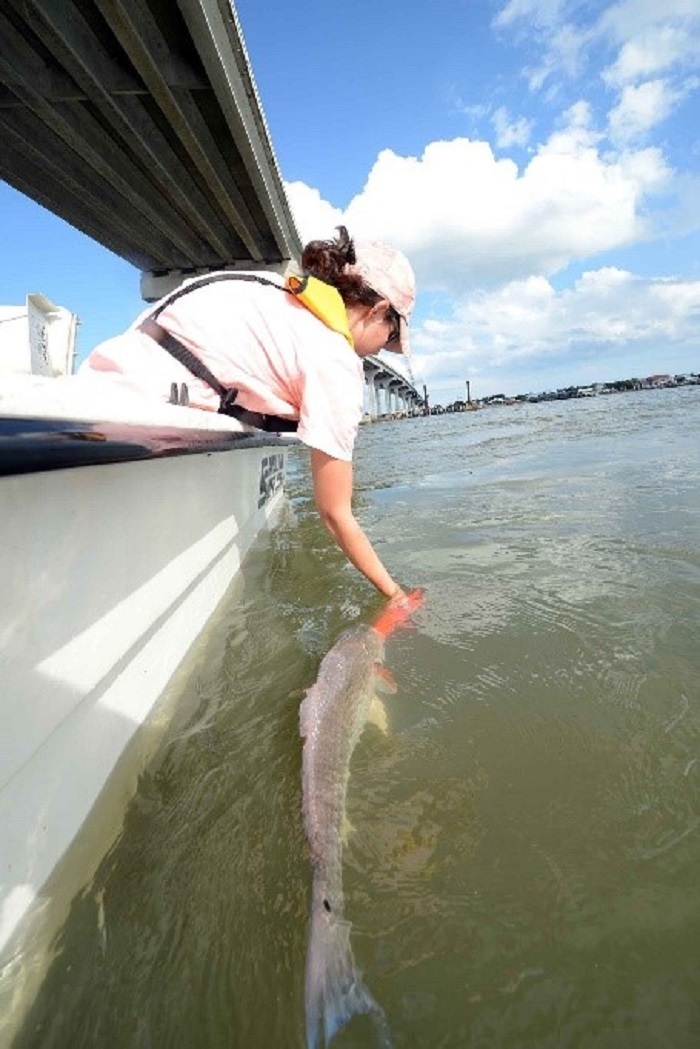 angler with fish in water