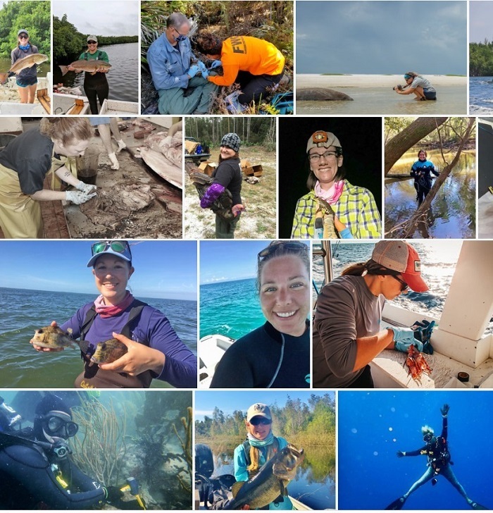 montage of women scientists