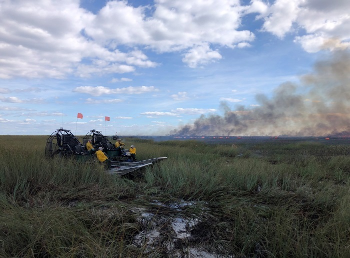 everglades burn