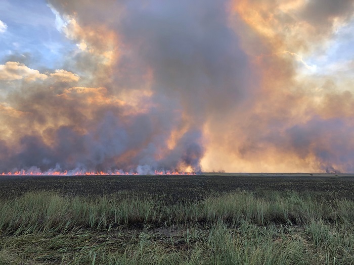 everglades burn