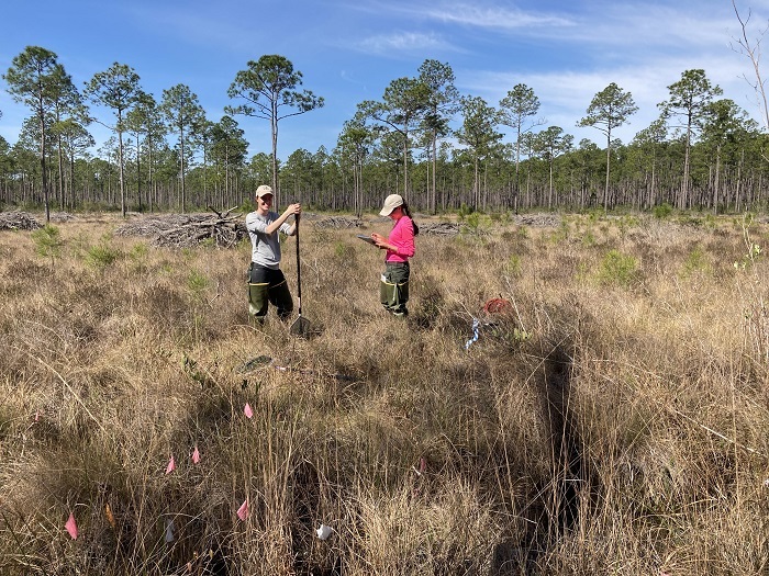 dipnetting for salamanders