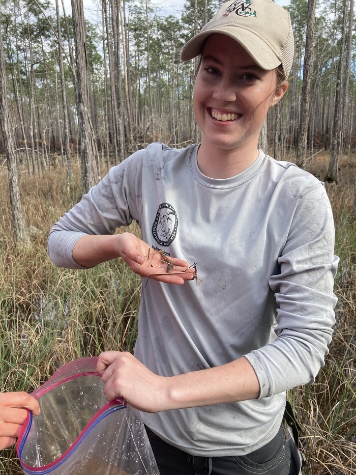 dipnetting for salamanders