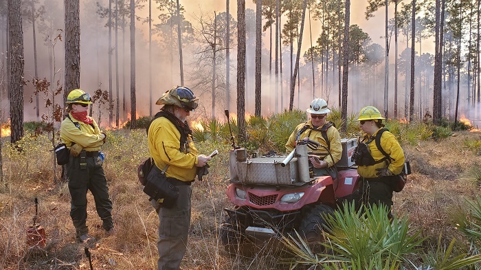 blanding burn