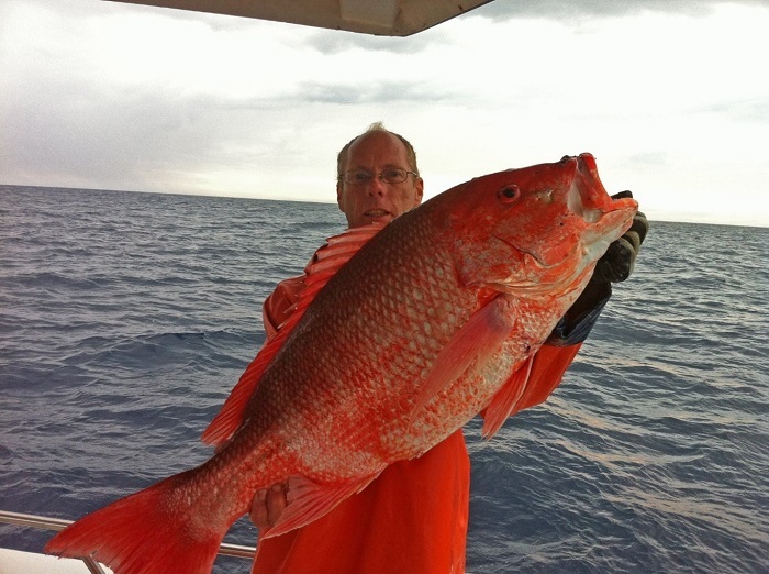 Big Red! Nice red snapper caught by Justin Lee off St. Augustine, FL.