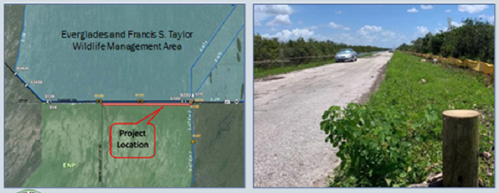 tamiami trail removal