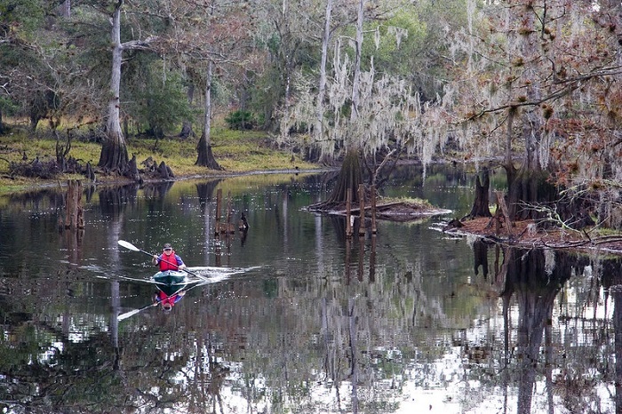 paddling on the creek