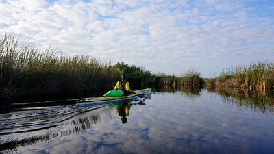 A woman in a yellow kayak paddles through a narrow waterway surrounded by reeds at Big Cypress National Preserve