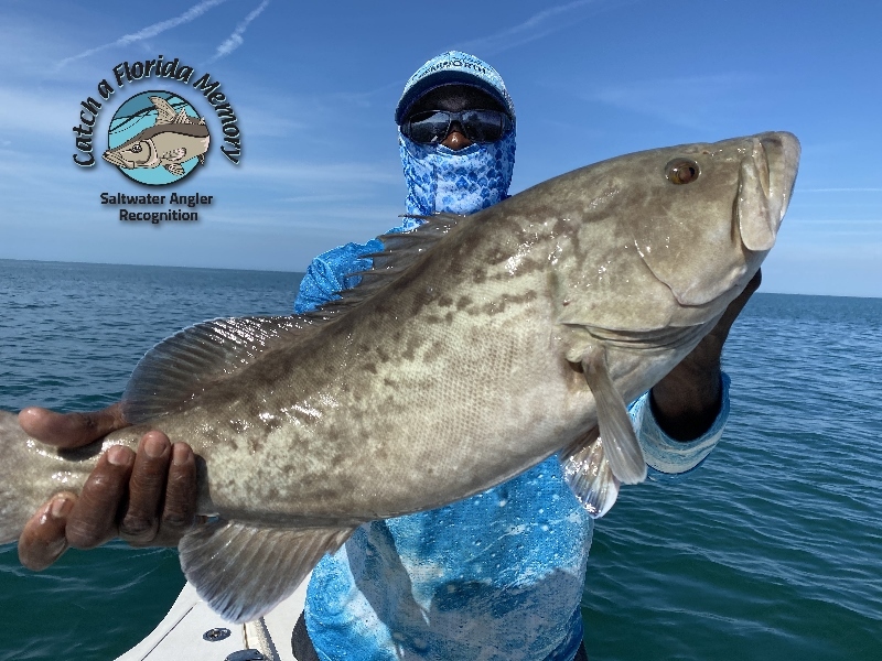 FWC Update: Grouper and Atlantic Hogfish Seasons Re-Open May 1